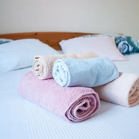 Apartment Viki